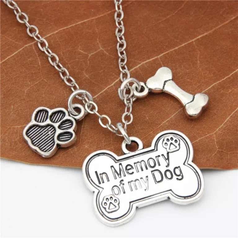 dog tag necklace (3)