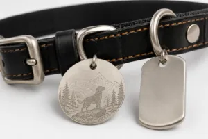 A side-by-side studio shot comparing a flat dog collar tag and a hanging dog tag attached to the same collar, focusing on tag design and materials for visual clarity.