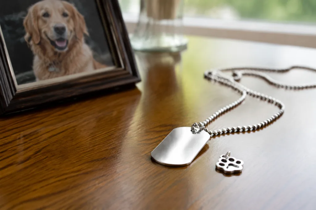 A cinematic image depicting a memorial dog tag necklace laying beside a cherished pet photo, used to symbolize remembrance and emotional connection.